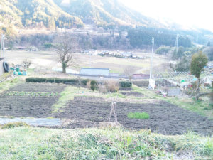 20120407_畑の耕し作業終了